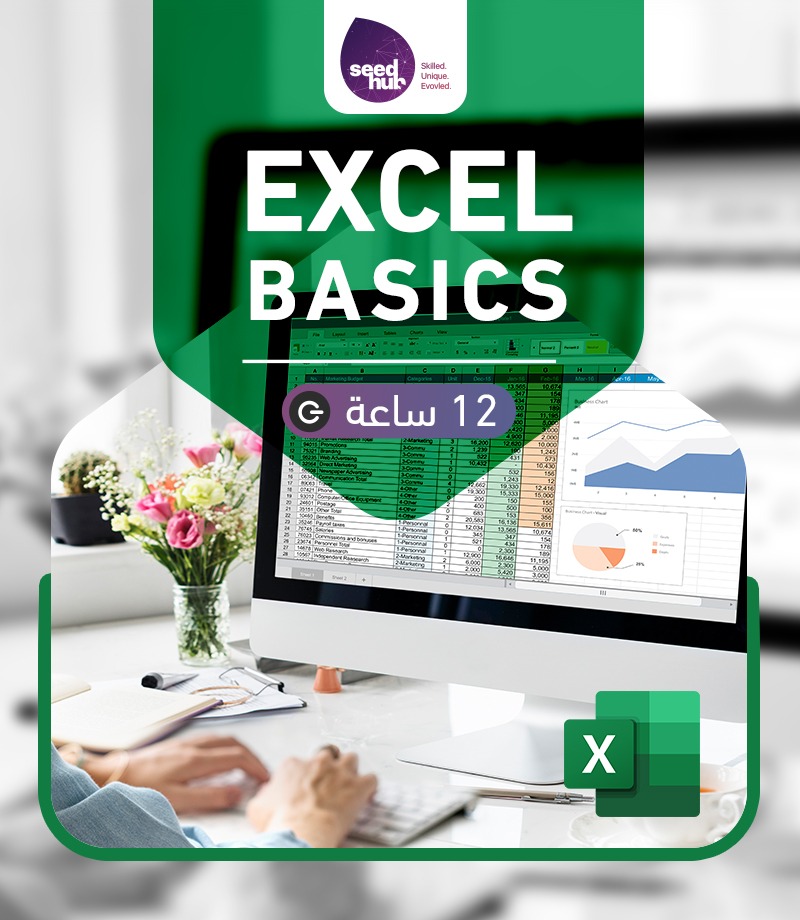 Excel Basics and Intermediate